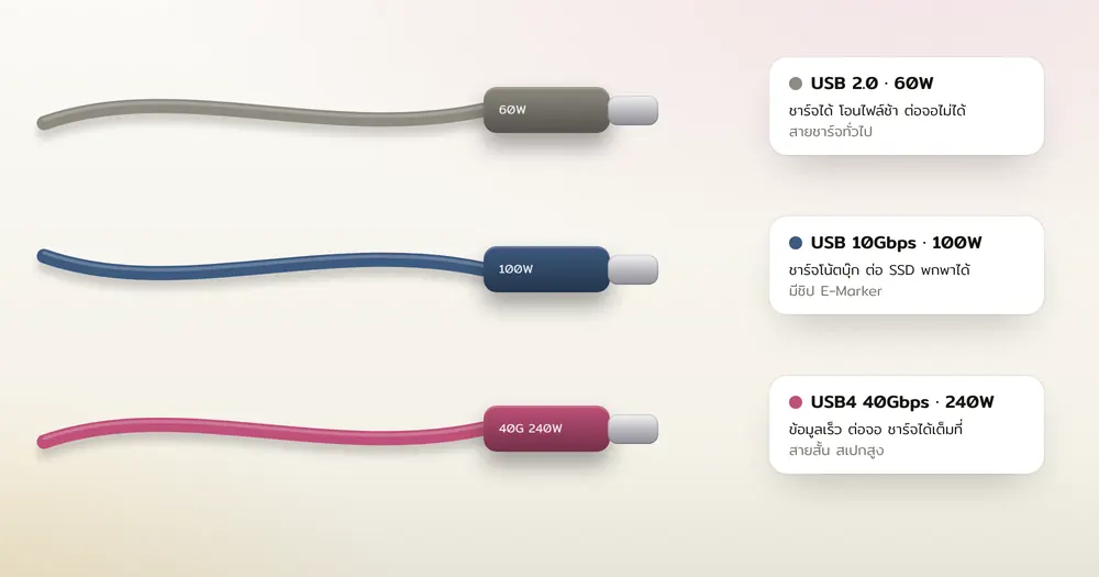 สาย USB-C สามเส้นวางเรียงพร้อมป้ายระบุกำลังไฟและความเร็วต่างกัน