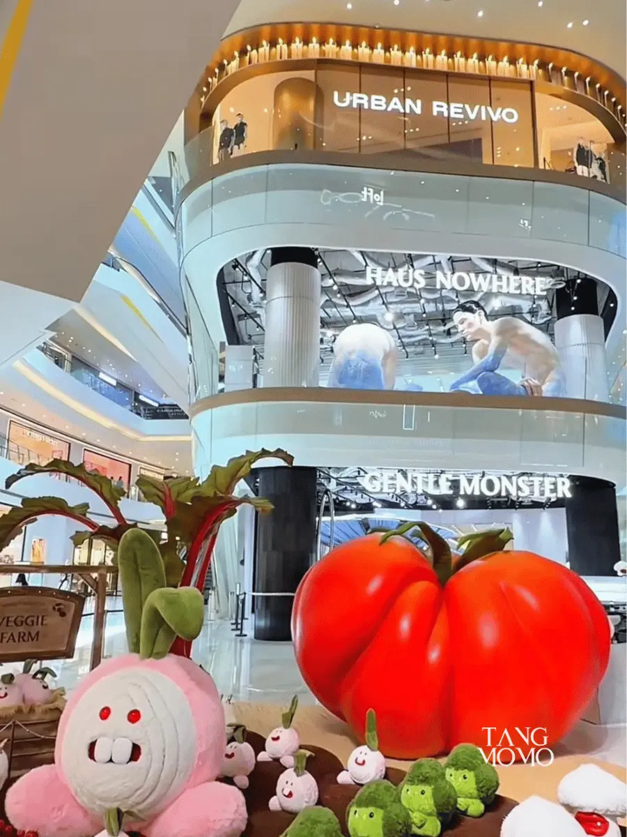 Gentle Monster Veggie แว่นผักพับได้