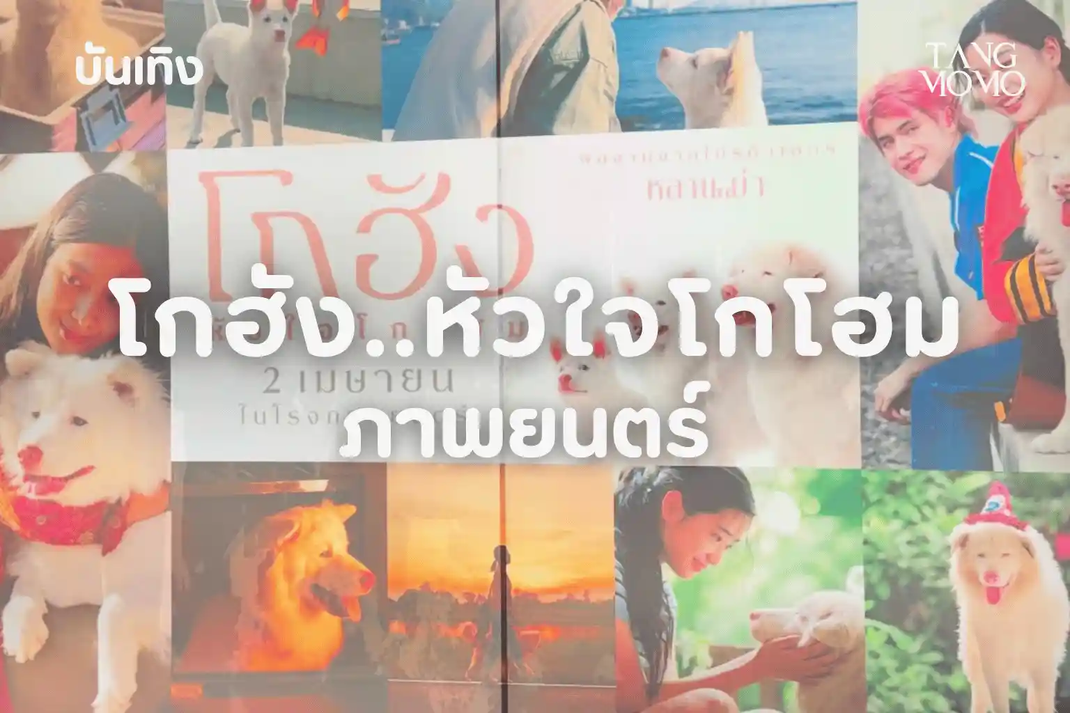 ภาพยนตร์ โกฮังหัวใจโกโฮม