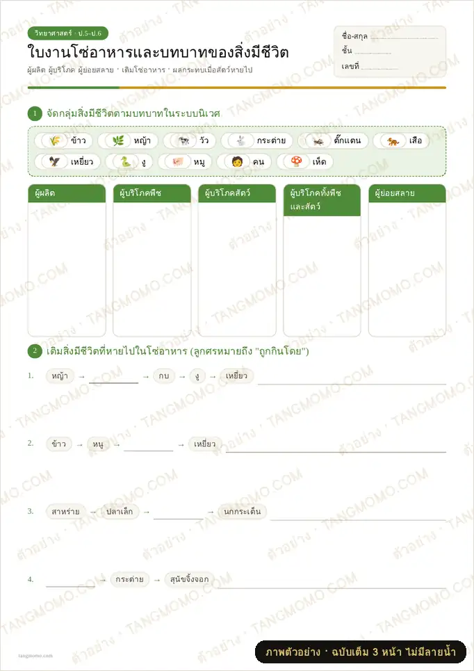 ภาพตัวอย่างบางส่วนของ ใบงานโซ่อาหารและบทบาทของสิ่งมีชีวิต (PDF พร้อมพิมพ์)