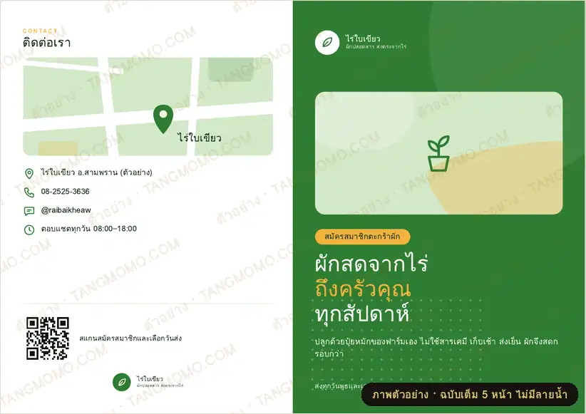ภาพตัวอย่างบางส่วนของ โบรชัวร์พับครึ่ง ฟาร์มผักออร์แกนิก สมาชิกตะกร้าผัก (PDF พร้อมพิมพ์)