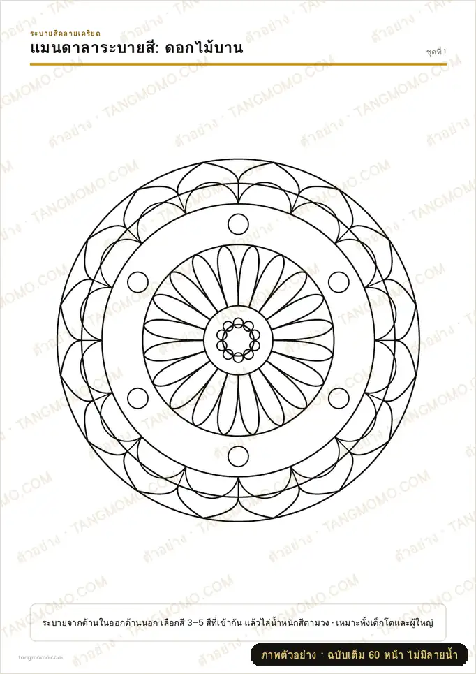 ภาพตัวอย่างบางส่วนของ แมนดาลาระบายสีคลายเครียด 10 ชุด (PDF พร้อมพิมพ์)