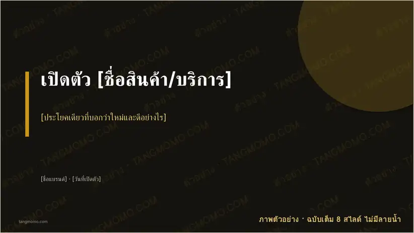 ภาพตัวอย่างบางส่วนของ สไลด์เปิดตัวสินค้า/บริการใหม่ (PowerPoint)