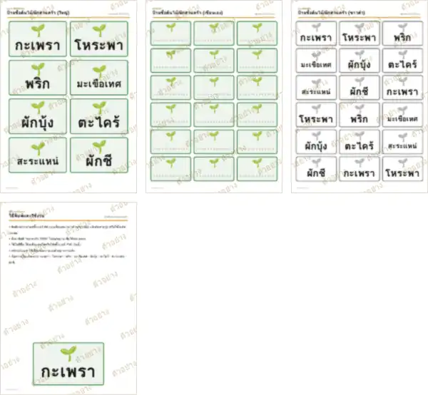 ภาพย่อหน้าอื่นของเอกสาร