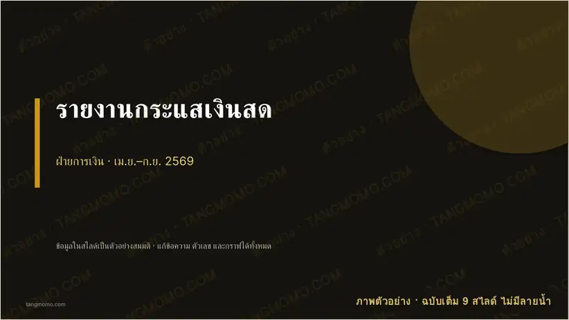 ภาพตัวอย่างบางส่วนของ รายงานกระแสเงินสด (PowerPoint)