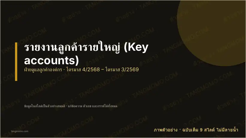 ภาพตัวอย่างบางส่วนของ รายงานลูกค้ารายใหญ่ (Key accounts) (PowerPoint)