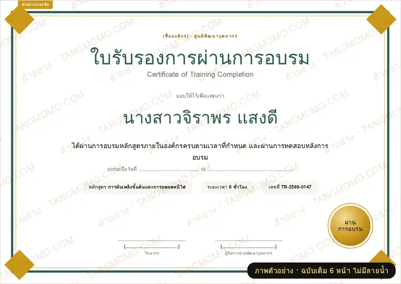 ภาพตัวอย่างบางส่วนของ ใบรับรองการผ่านการอบรมภายในองค์กร + ทะเบียนผู้ผ่านอบรม (PDF พร้อมพิมพ์)
