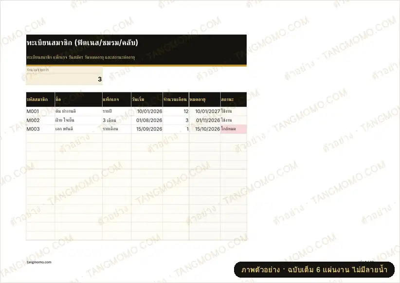 ภาพตัวอย่างบางส่วนของ ทะเบียนสมาชิก (ฟิตเนส/ชมรม/คลับ) (Excel)